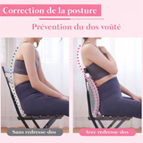 Appareil d'étirement pour dos