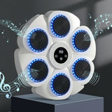 Appareil Musicale de Boxe